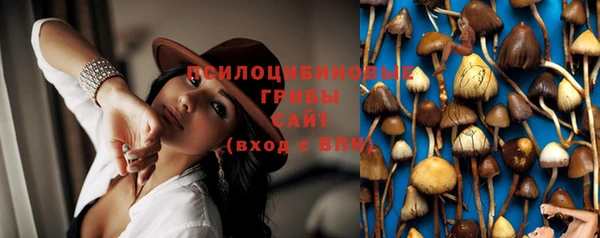 mdpv Белокуриха