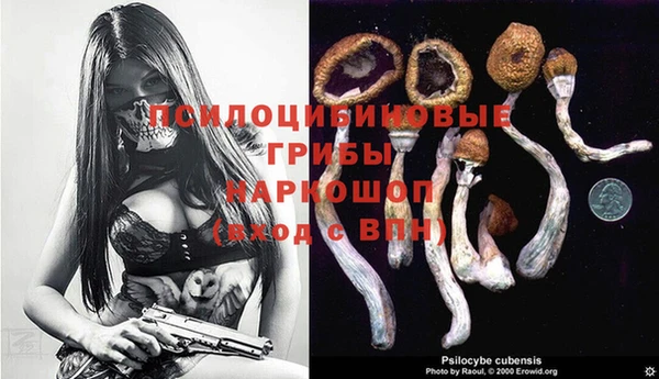 мдма Беломорск