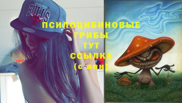 mdpv Белокуриха