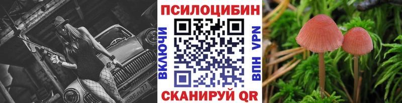 Псилоцибиновые грибы Psilocybe  Облучье 